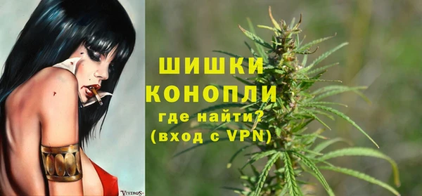 бошки Гусев