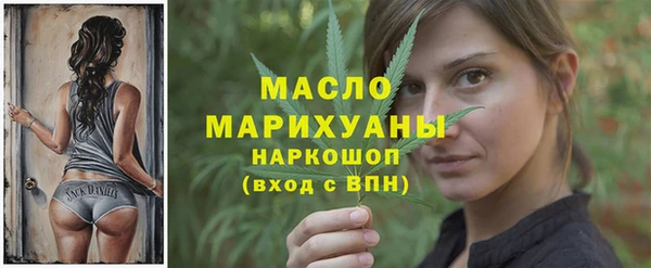 гашик Гусь-Хрустальный