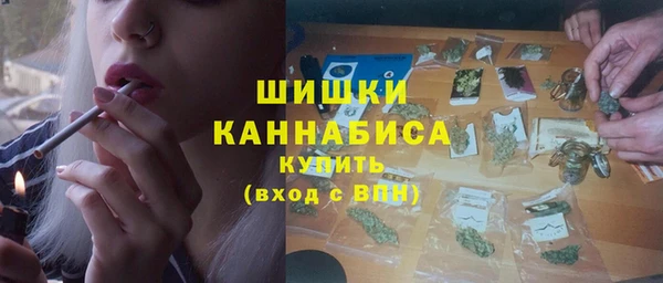 бошки Гусев