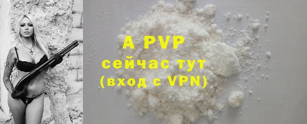 бошки Гусев