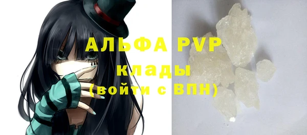 гашик Гусь-Хрустальный