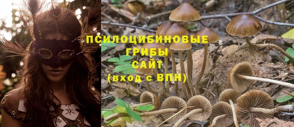 гашик Гусь-Хрустальный