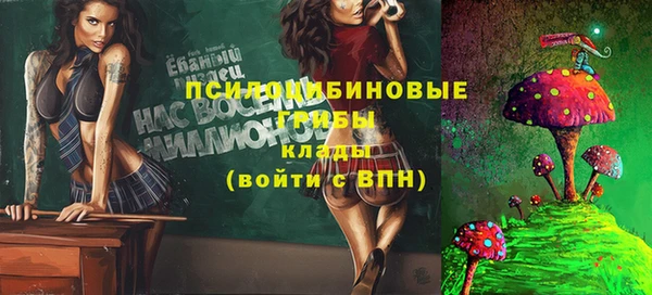 MDMA Гусиноозёрск