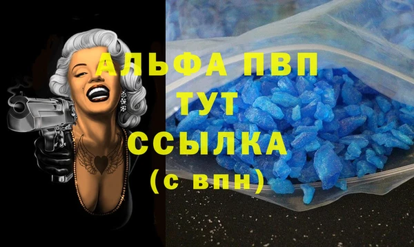 бошки Гусев