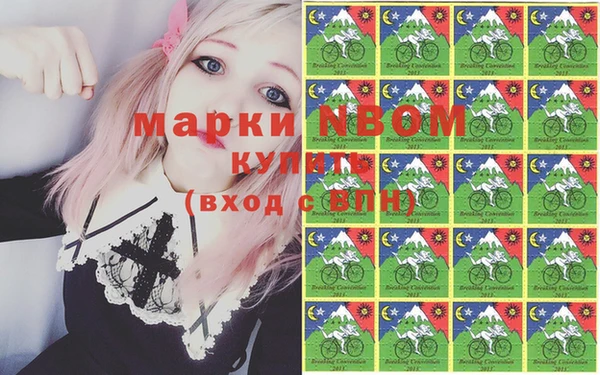 гашик Гусь-Хрустальный