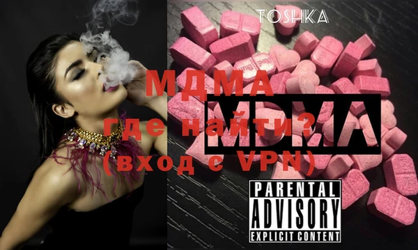 гашик Гусь-Хрустальный