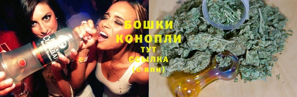 гашик Гусь-Хрустальный