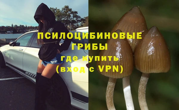 гашик Гусь-Хрустальный