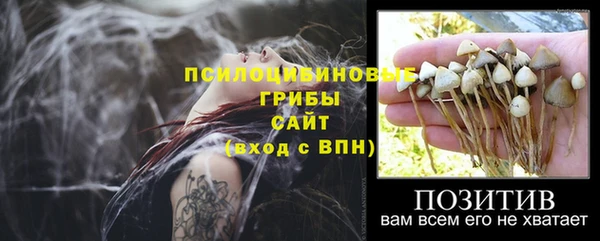 MDMA Гусиноозёрск